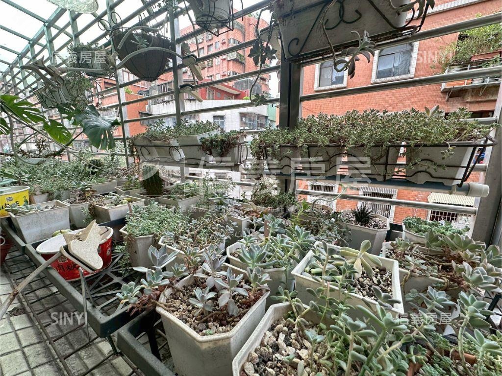 三光森寓＊映亮四樓房屋室內格局與周邊環境