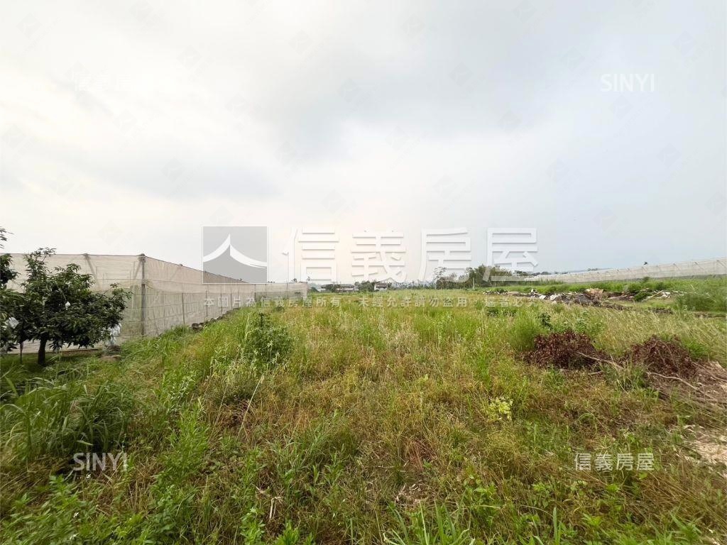 中埔鄉義仁段土地房屋室內格局與周邊環境