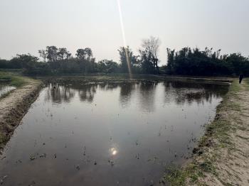 置產首選觀音農地