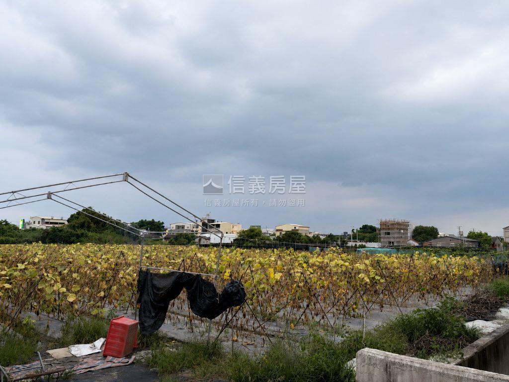近社頭果菜市場臨路農地房屋室內格局與周邊環境