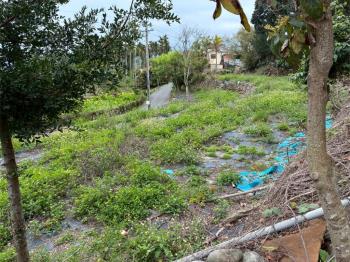 新社小農首選．晨曦農地Ｂ