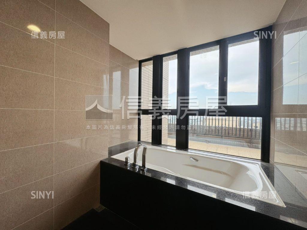 天廈次頂樓露臺無限景觀房屋室內格局與周邊環境