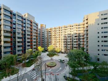 星野之森・森境日和