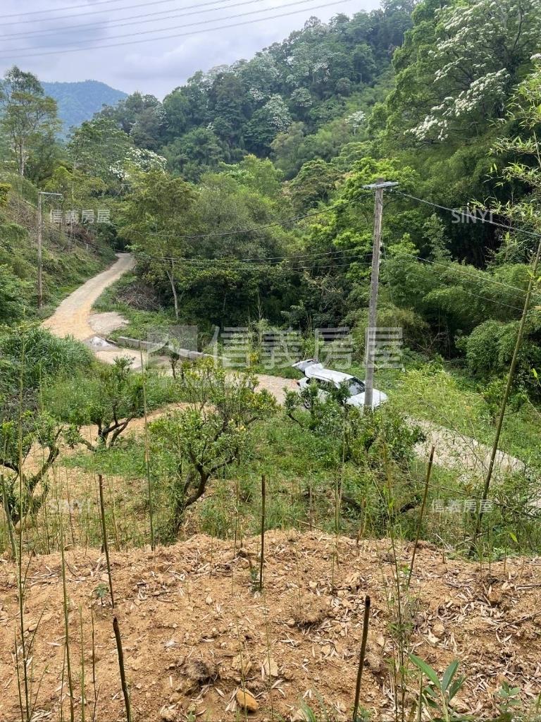 獅潭鄉百壽村土地房屋室內格局與周邊環境