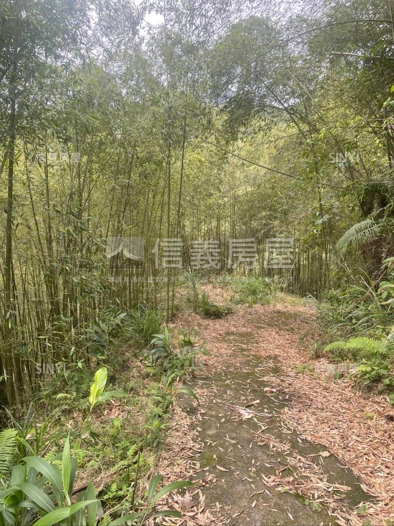 獅潭鄉百壽村土地房屋室內格局與周邊環境