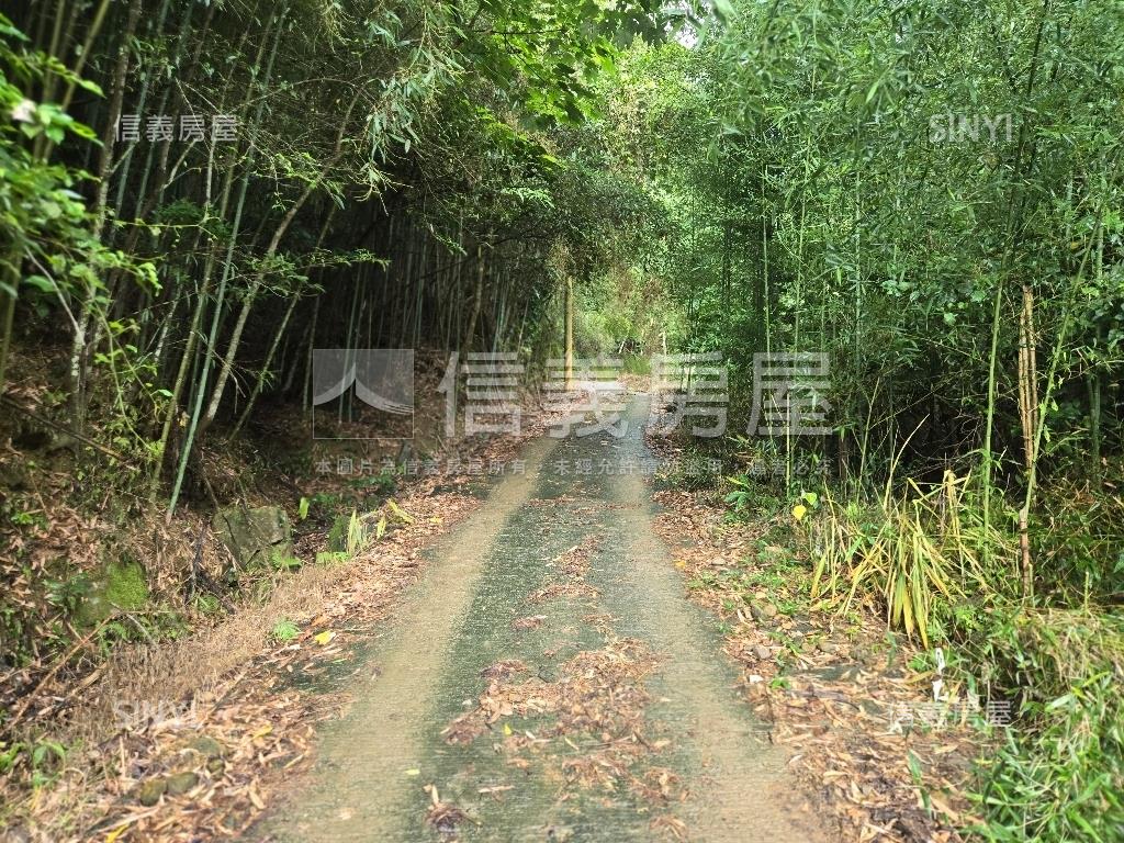 獅潭鄉百壽村土地房屋室內格局與周邊環境