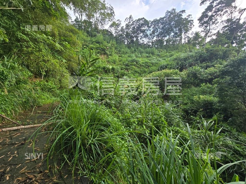 獅潭鄉百壽村土地房屋室內格局與周邊環境