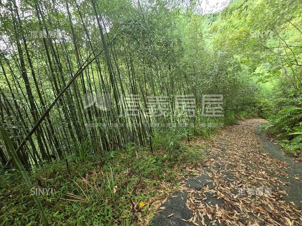 獅潭鄉百壽村土地房屋室內格局與周邊環境