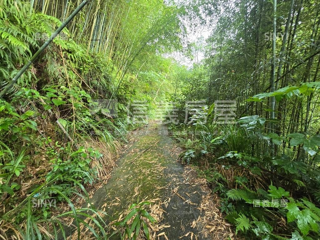 獅潭鄉百壽村土地房屋室內格局與周邊環境