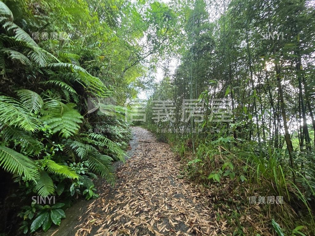 獅潭鄉百壽村土地房屋室內格局與周邊環境