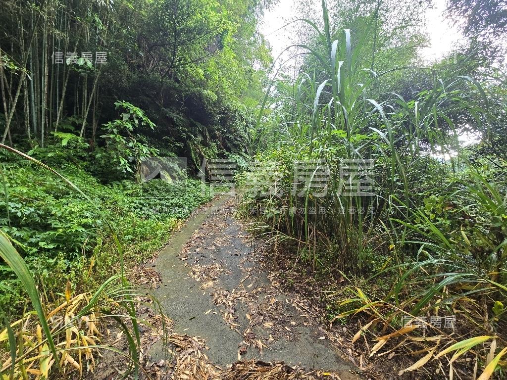 獅潭鄉百壽村土地房屋室內格局與周邊環境