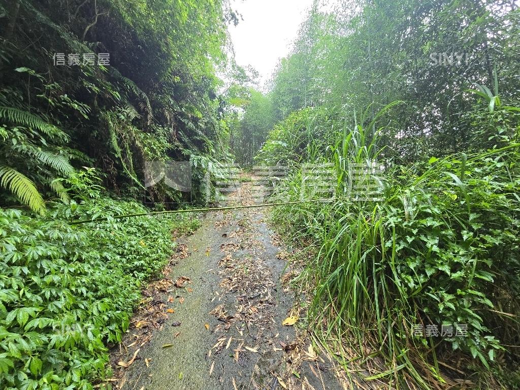 獅潭鄉百壽村土地房屋室內格局與周邊環境