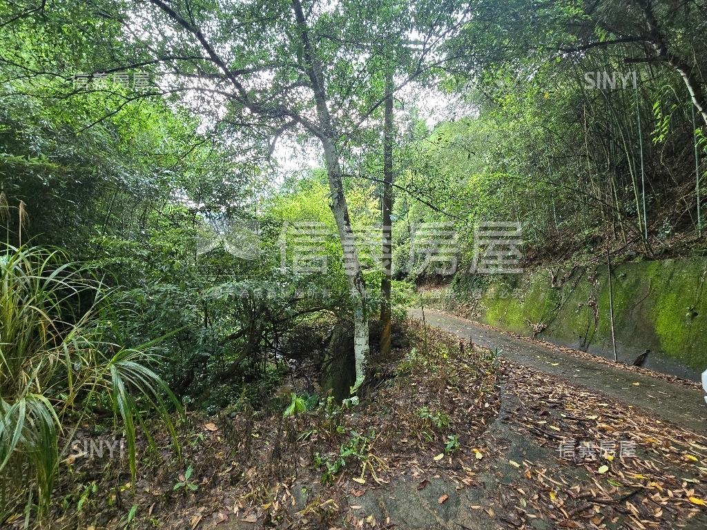 獅潭鄉百壽村土地房屋室內格局與周邊環境