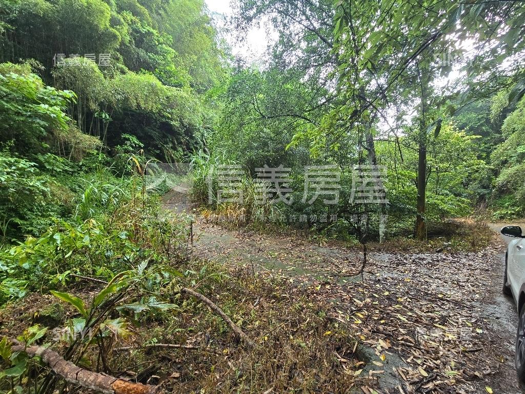 獅潭鄉百壽村土地房屋室內格局與周邊環境