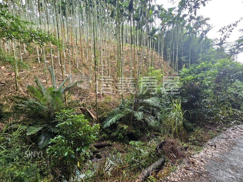 獅潭鄉百壽村土地房屋室內格局與周邊環境