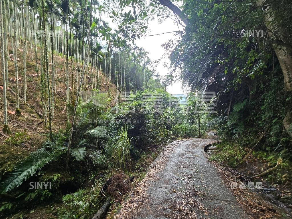 獅潭鄉百壽村土地房屋室內格局與周邊環境