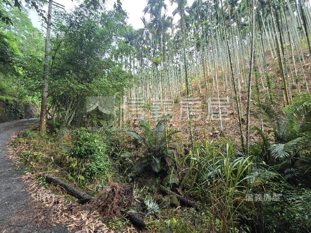 獅潭鄉百壽村土地房屋室內格局與周邊環境