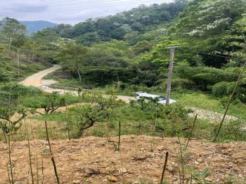 獅潭鄉百壽村土地