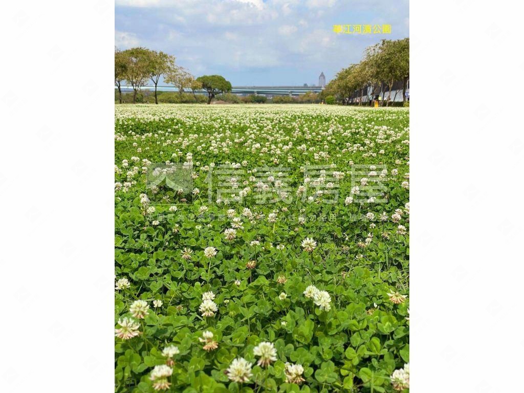 ★新接江子翠２樓低總公寓房屋室內格局與周邊環境