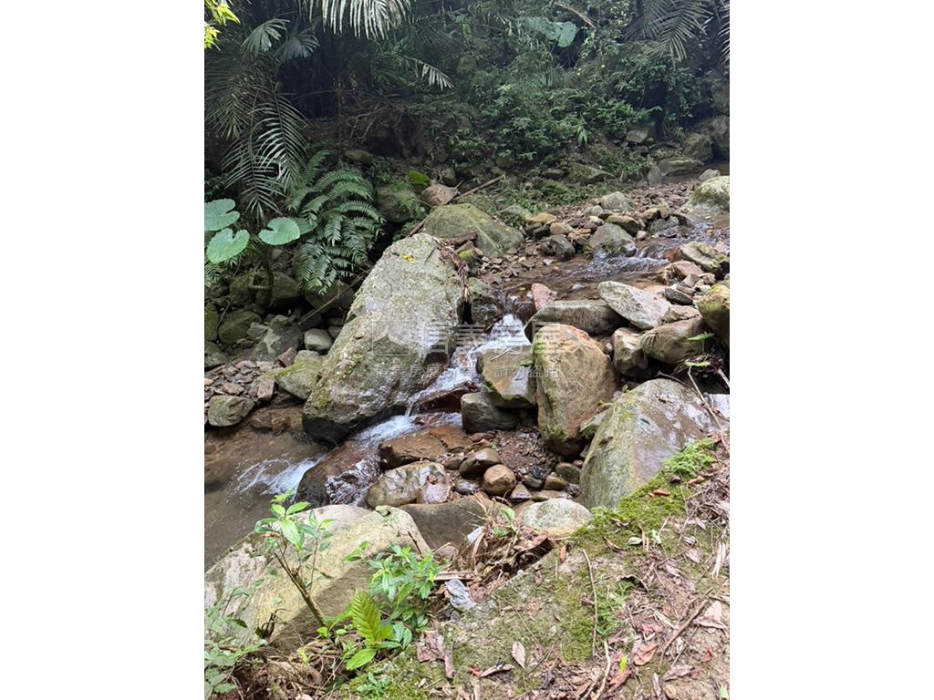 ３１萬坪土地房屋室內格局與周邊環境