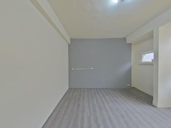 急！近大埔路整理透天