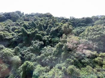 內湖捷運昇陽綠景三房車位