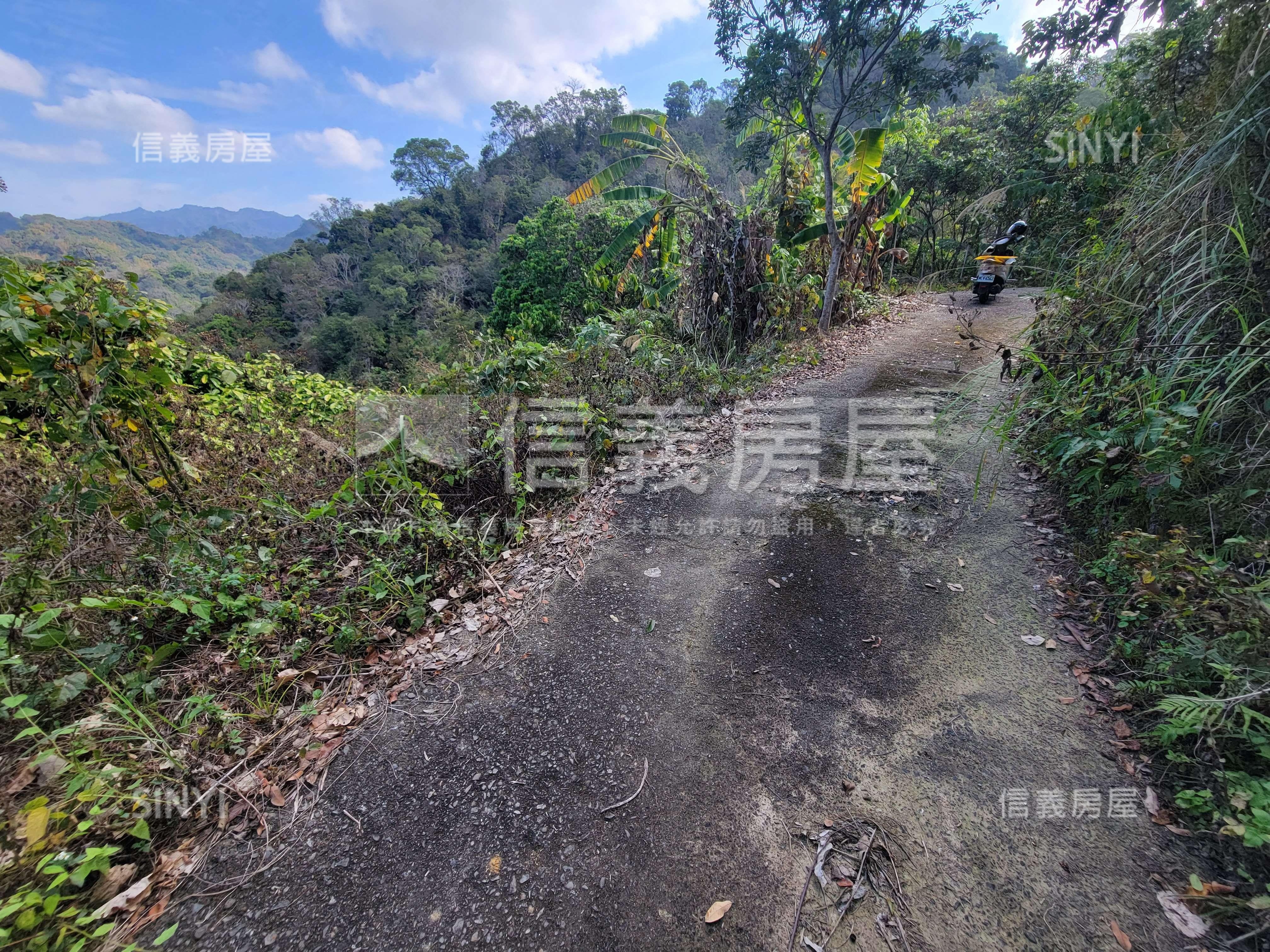 太平低總價土地林地養蜂房屋室內格局與周邊環境