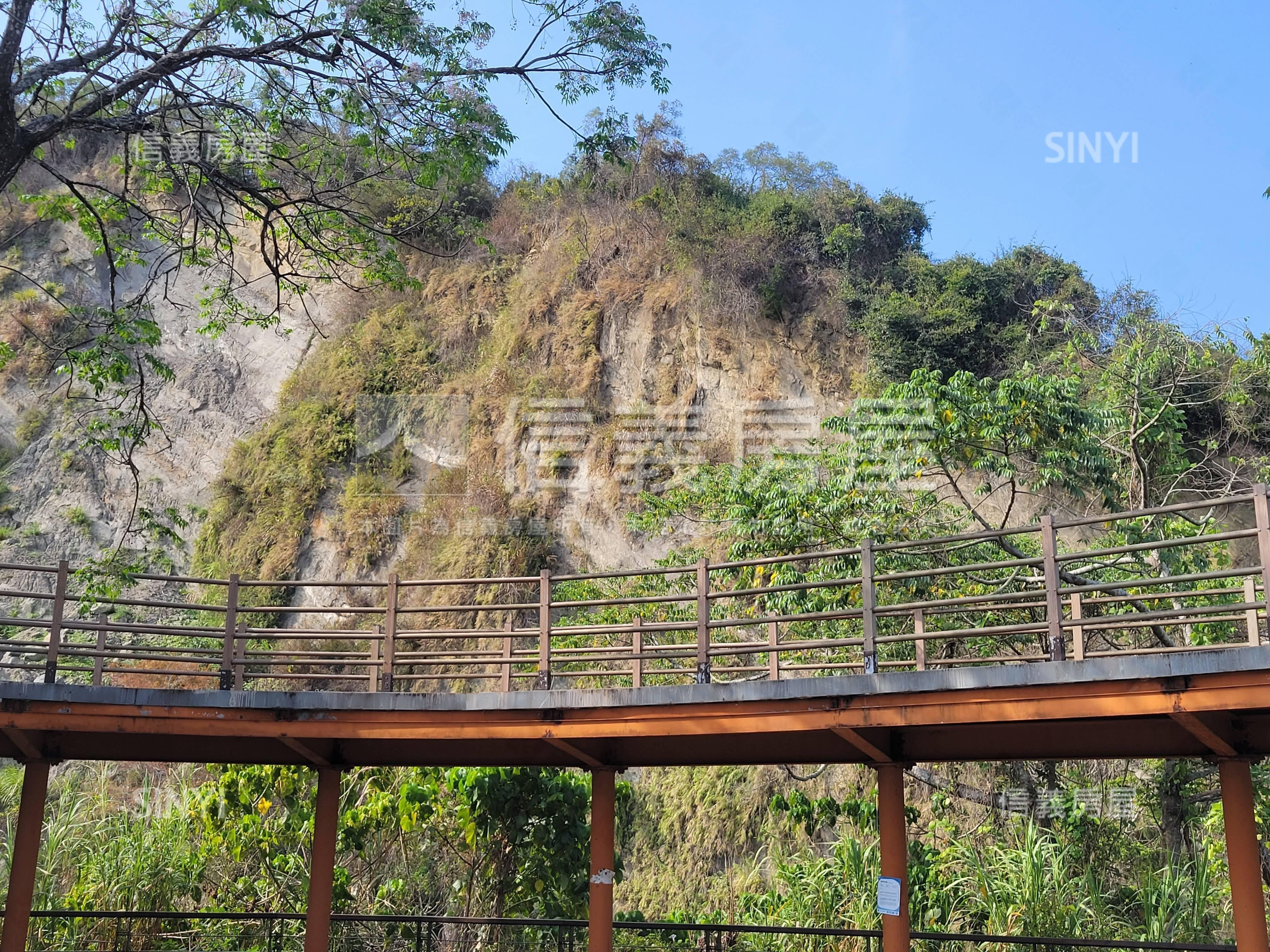 太平低總價土地林地養蜂房屋室內格局與周邊環境