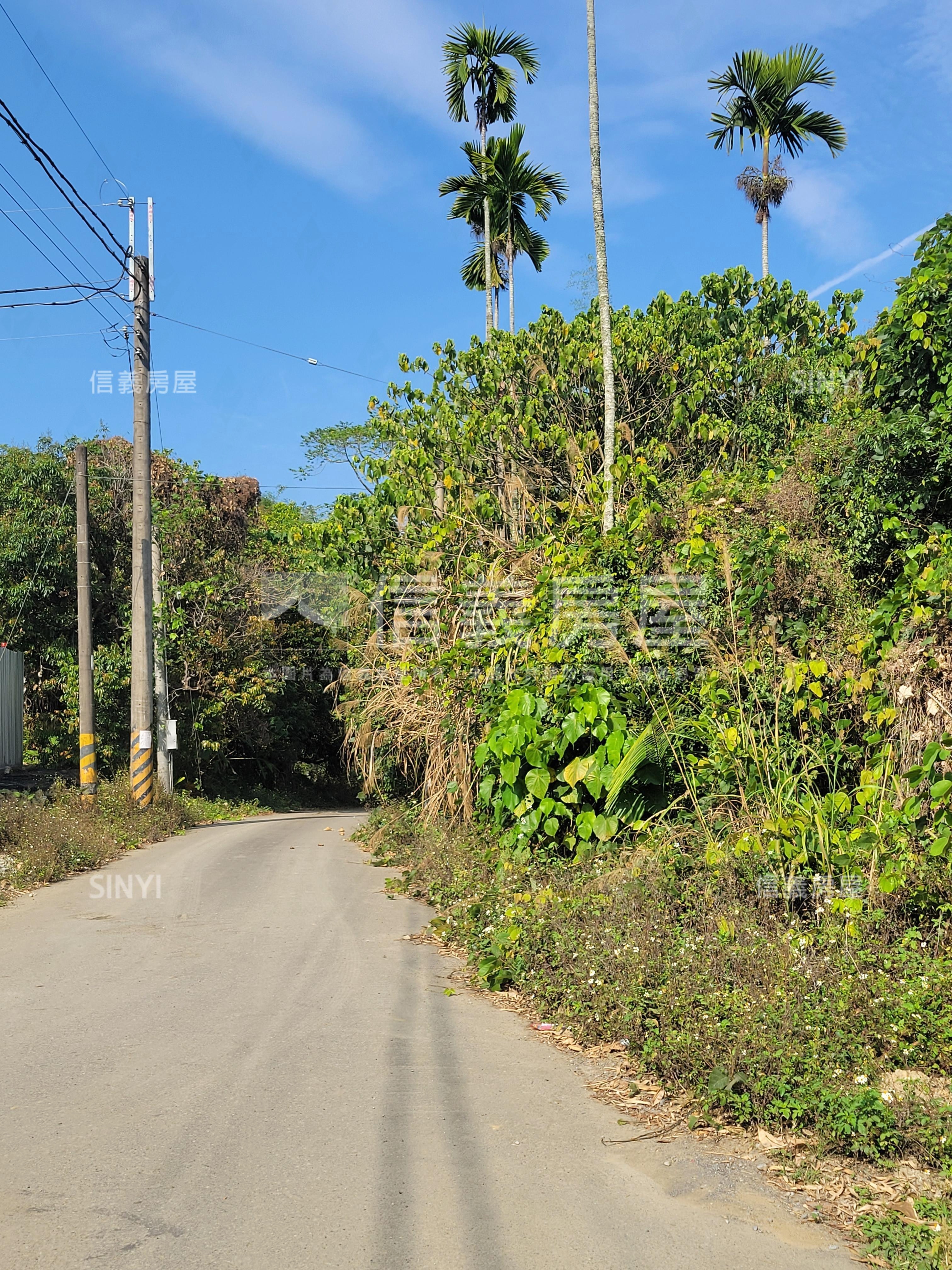 太平低總價土地林地養蜂房屋室內格局與周邊環境