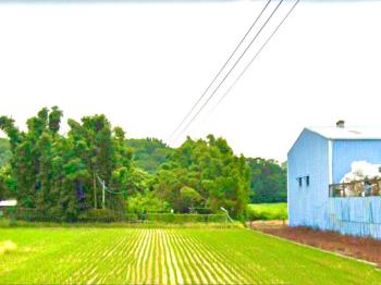 大溪東隆段土地