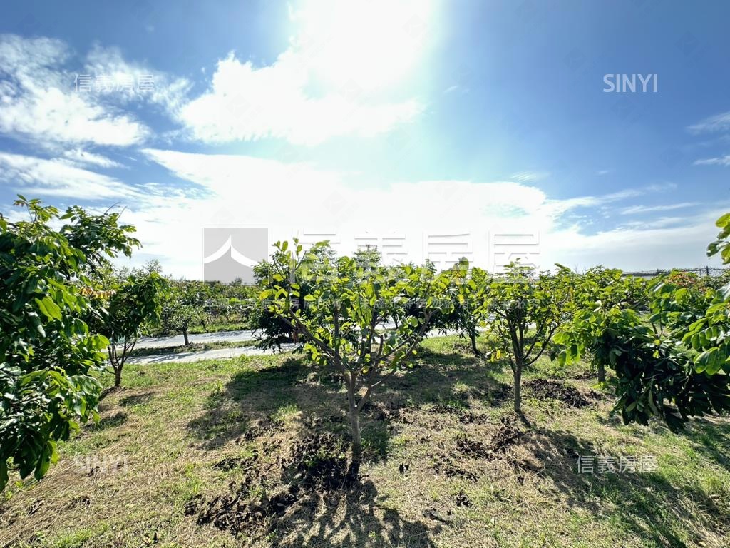 優二崙港後種真柏美農地房屋室內格局與周邊環境