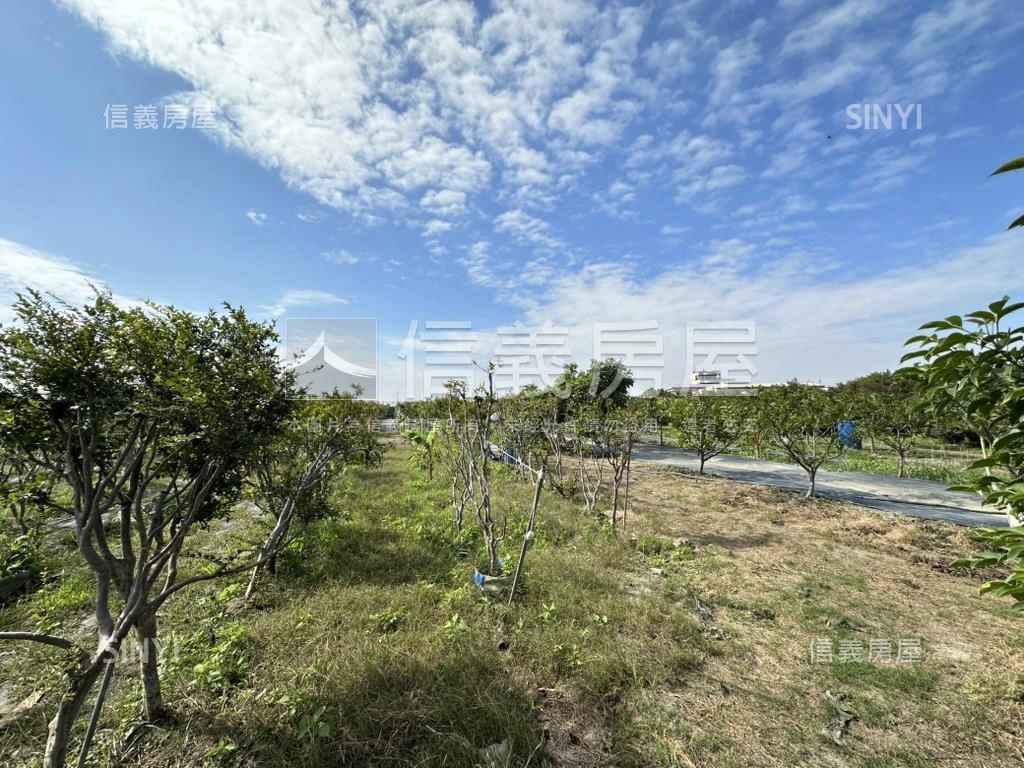 優二崙港後種真柏美農地房屋室內格局與周邊環境