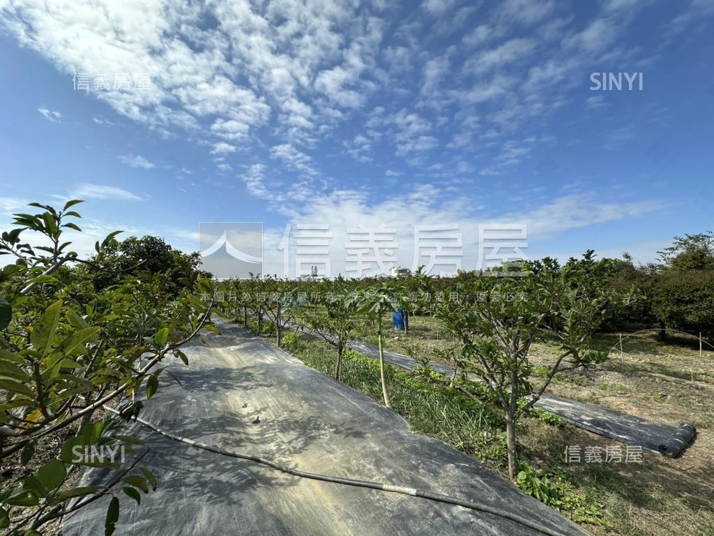 優二崙港後種真柏美農地房屋室內格局與周邊環境