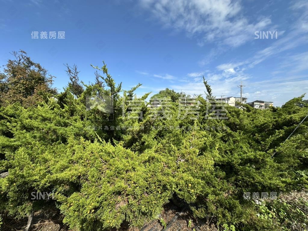 優二崙港後種真柏美農地房屋室內格局與周邊環境