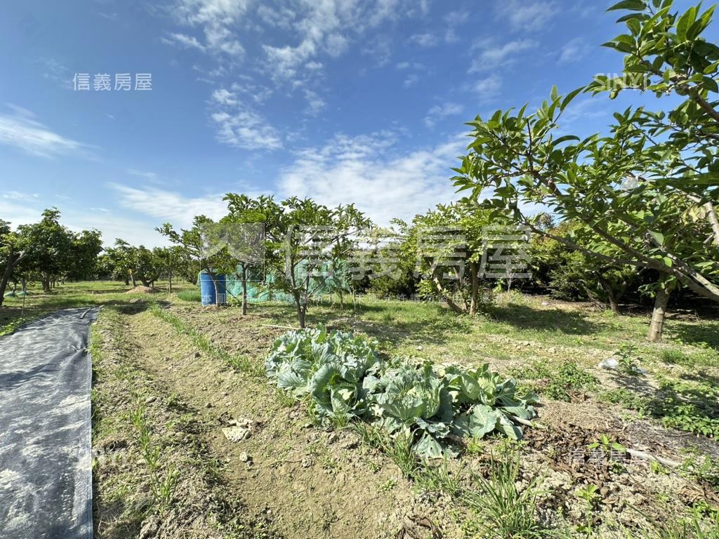 優二崙港後種真柏美農地房屋室內格局與周邊環境