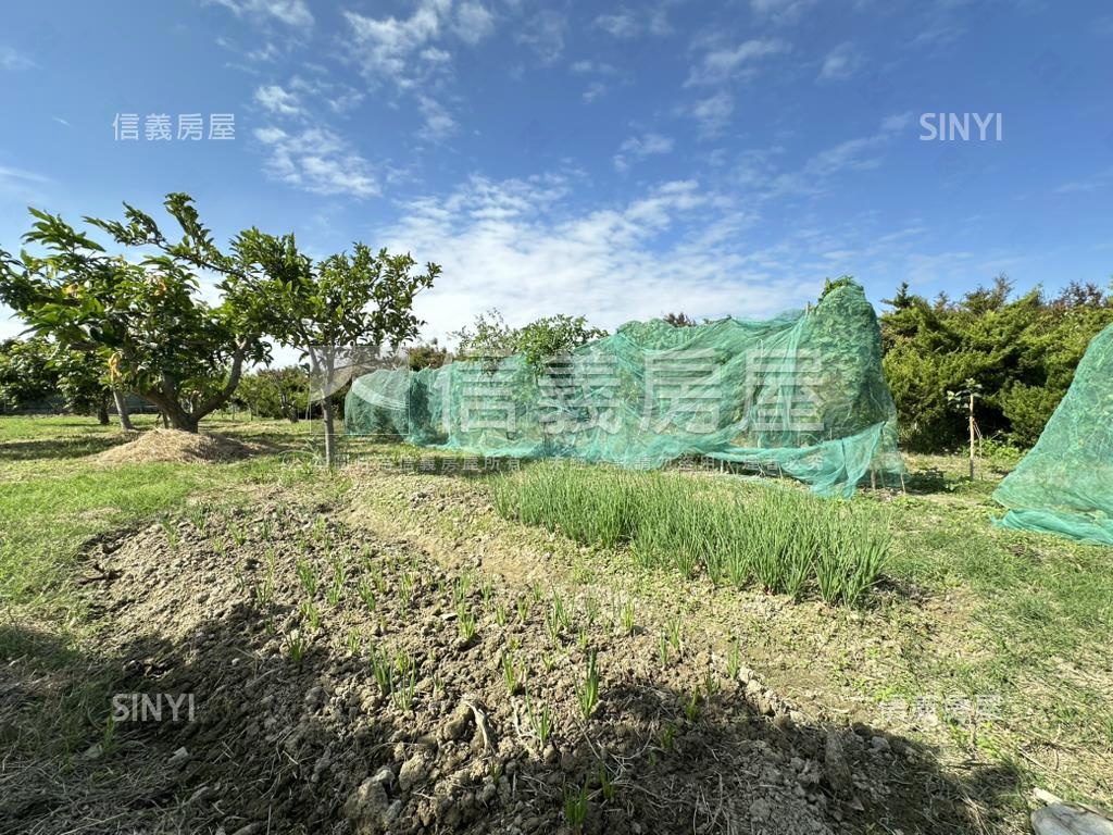 優二崙港後種真柏美農地房屋室內格局與周邊環境