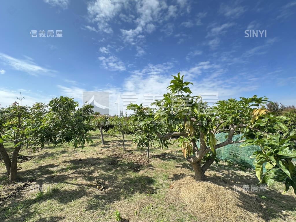 優二崙港後種真柏美農地房屋室內格局與周邊環境