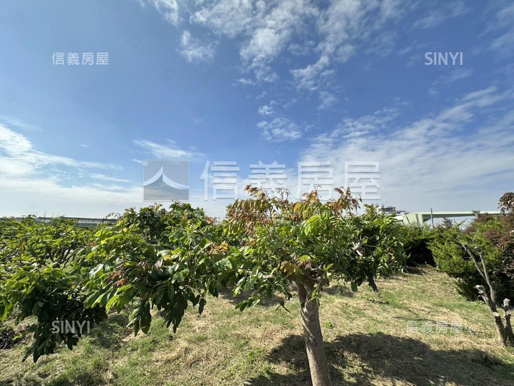 優二崙港後種真柏美農地房屋室內格局與周邊環境