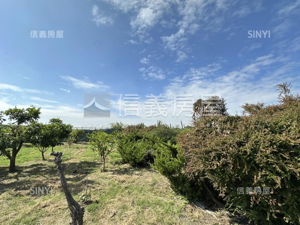 優二崙港後種真柏美農地房屋室內格局與周邊環境