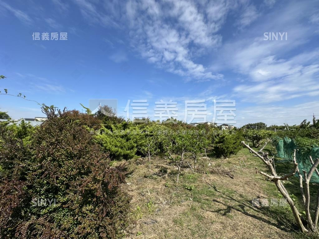 優二崙港後種真柏美農地房屋室內格局與周邊環境