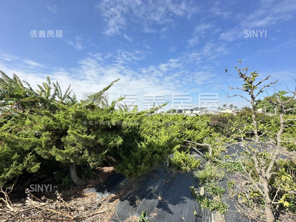 優二崙港後種真柏美農地房屋室內格局與周邊環境