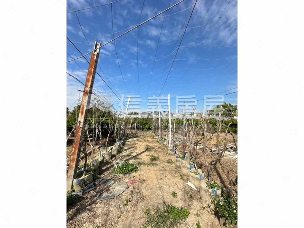 優二崙港後種真柏美農地房屋室內格局與周邊環境