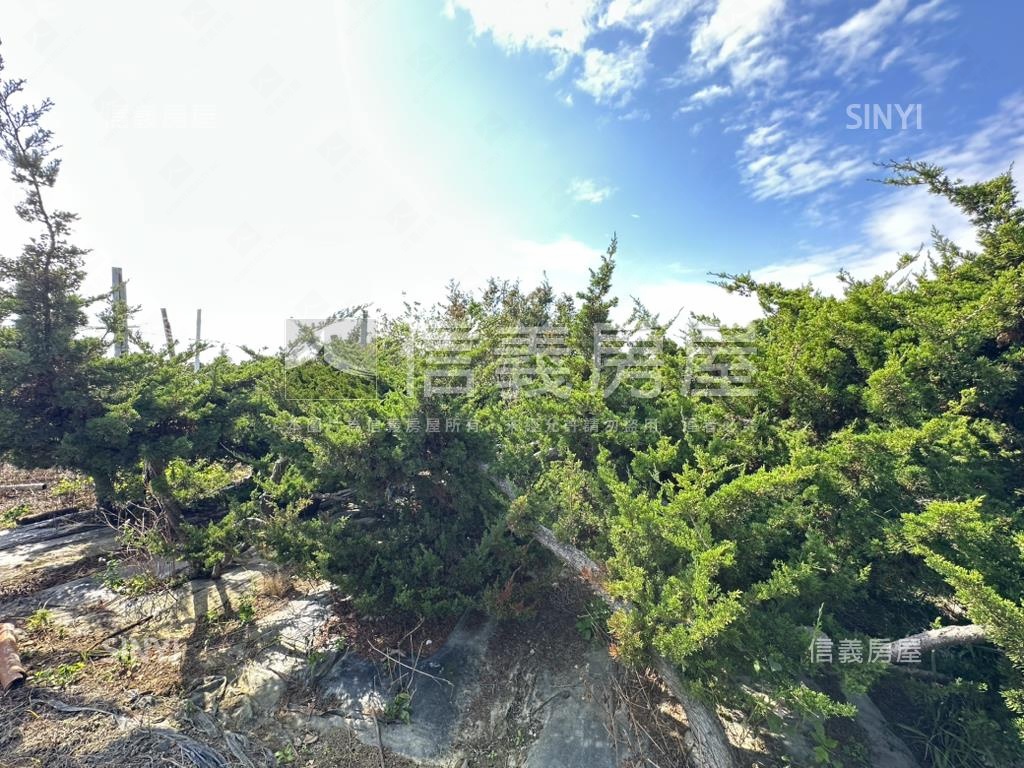 優二崙港後種真柏美農地房屋室內格局與周邊環境
