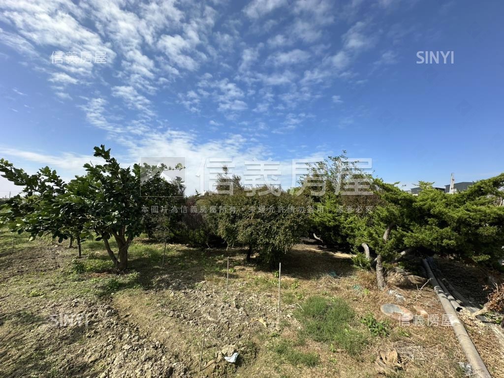 優二崙港後種真柏美農地房屋室內格局與周邊環境