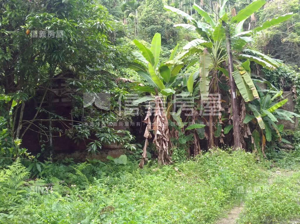 中埔灣潭子３８９－８土地房屋室內格局與周邊環境