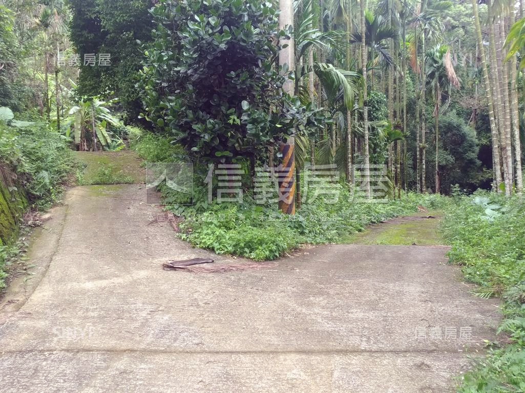 中埔灣潭子３８９－８土地房屋室內格局與周邊環境
