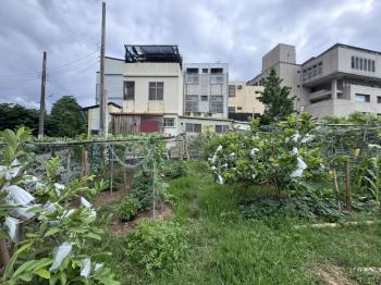 苗栗市法院旁開心小農地