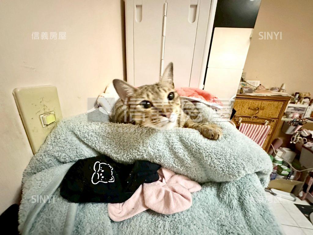 東湖捷運靜巷大空間美寓房屋室內格局與周邊環境