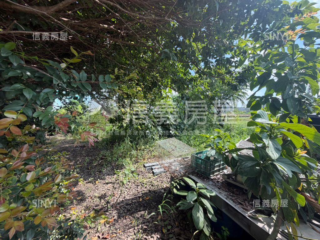 優！路竹都計西區臨路農地房屋室內格局與周邊環境