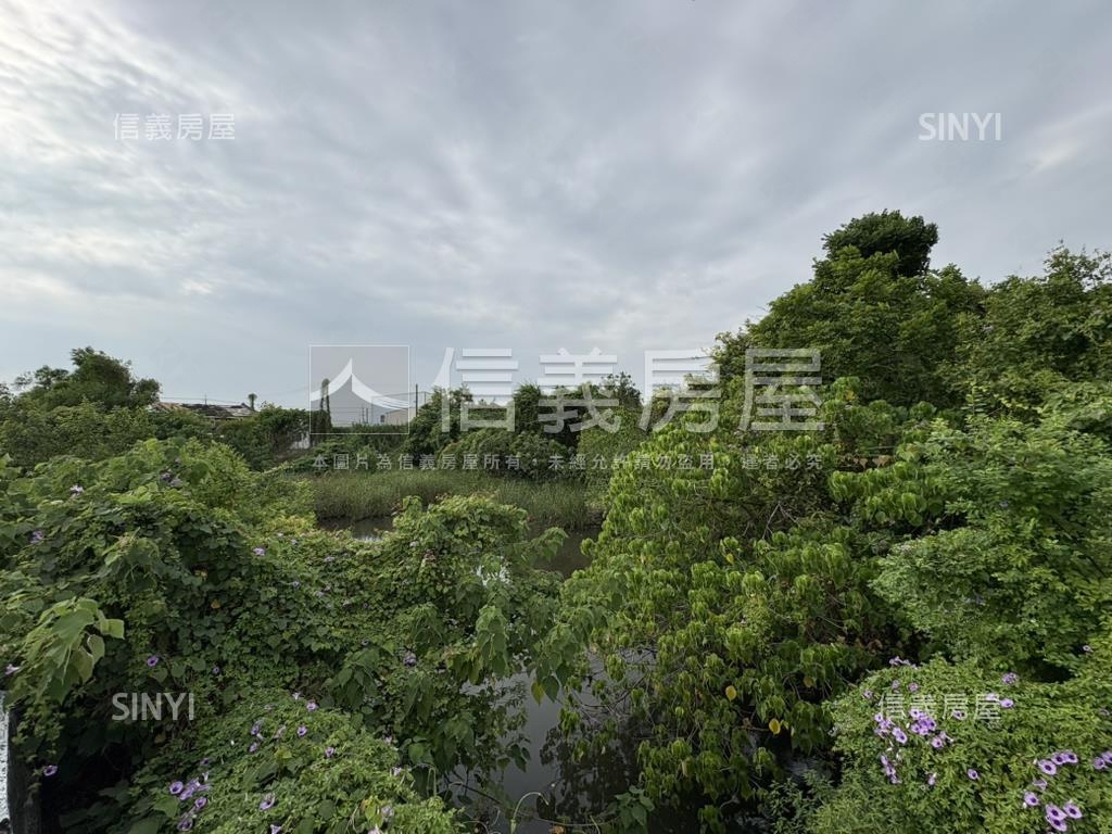 官田區約５３００坪農地房屋室內格局與周邊環境